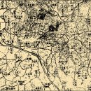 장하로1 이미지