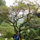 광덕2리 이미지