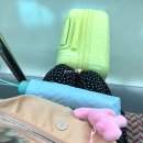 srt타고 수서에서 경주 특실 후기 수서역 대합실 식당가