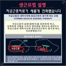 형통한의원 | 안전하고 효과적인 자궁근종 치료를 제공하는 자궁근종한의원 경희기린한의원