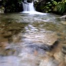 가평힐링캠프 이미지