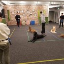 합정동주민센터 이미지