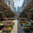 양재시장 | 양재 꽃시장 토요일 방문후기, 영업시간은?
