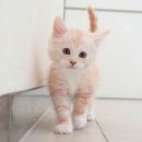 연제구-045 이미지