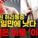 2년 허리통증 5일만에 낫다 이미지