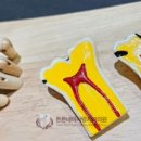 튼튼내이사랑치과의원 이미지