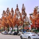 둔산북로90번길 이미지