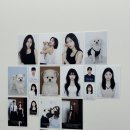 투썸플레이스범계점 | [안양/범계] 블루라잇사진관 범계점 | 증명사진 촬영 솔직후기 (feat.사진관 고르는 팁)