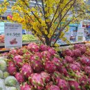 백과아시아마트 이미지