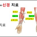 요골농장 이미지