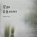 공계열 시집/끈과 수초사이 이미지