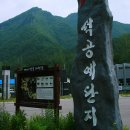 (유)정선 이미지