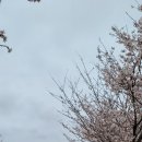 전천회관 이미지