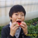 한솔이네농장 이미지