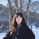스시봄 이미지