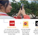 귤곰 이미지