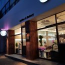 대백애견 이미지