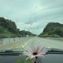 혜미복집 이미지