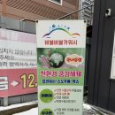 문안산성 | 용봉동 노터치세차 친환경 중성세제 사용 매장 버블버블 카 워시 후기