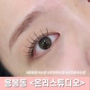 용봉2휴먼시아경로당 | [광주 용봉동] 눈이 아름다워지는 공간&lt;온리스튜디오&gt; 광주 북구 속눈썹 전문점 펌포인트 후기💗