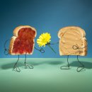 테리보더의 먹고+즐기고+ 사랑하라 이미지