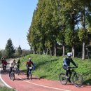 금강하구둑 자전거대여소 이미지