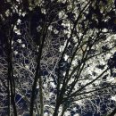 가고파밸리민박 이미지