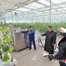 수호네 농장 이미지