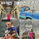 개토피아 | 익산 애견동반 가볼만한곳 교도소세트장 볼거리 반려동물 페스티벌