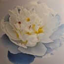 주식회사 천도 이미지