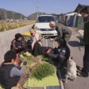 강진 소소원 이미지