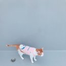 옥상나들이 티스토리