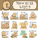 착하개 이미지