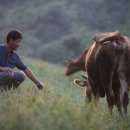 정다운 한우 이미지