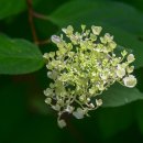 영산대학교(해운대) 이미지