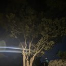 남산 산책로 | [서울 남산 둘레길] 산책로 후기(야경, 충무로역에서 남산타워까지)