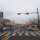 호원초등학교 앞 이미지