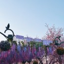 2025 여의도 벚꽃축제 윤중로벚꽃길 만개, 행사, 푸드트럭 먹거리 정보