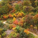 흥정계곡 409 이미지