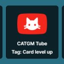 골드 캣 이미지