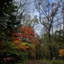 백담고을캠핑장 | 설악산 단풍 코스 트래킹 &amp; 인제 백담고을캠핑장 후기