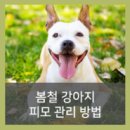 24시산들산들동물병원
