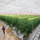 플러스농장2 이미지