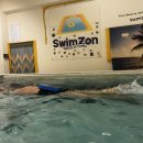 강남 대치동 수영장. swimzon 엔드리스풀에서 함께할 주말 + 월요일(다른요일가능) 오후 근무 선생님 구합니다 이미지