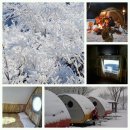 자연을 노래하다 이미지