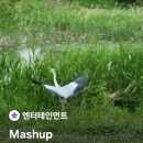1인출판사 협동조합 사회적 기업 _문체부인가 서류준비와 절차