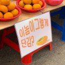 나의 다이어트 실패 일기