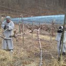 혜명농장 이미지