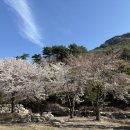 포시즌호스텔 이미지