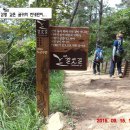 갈맷길 2-2 구간 이미지